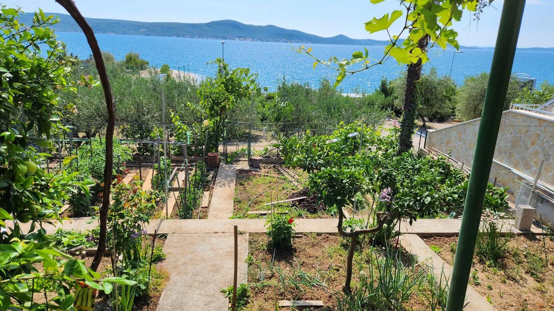 Apartments Lucija Sveti Petar  Sveti Petar (Zadar)